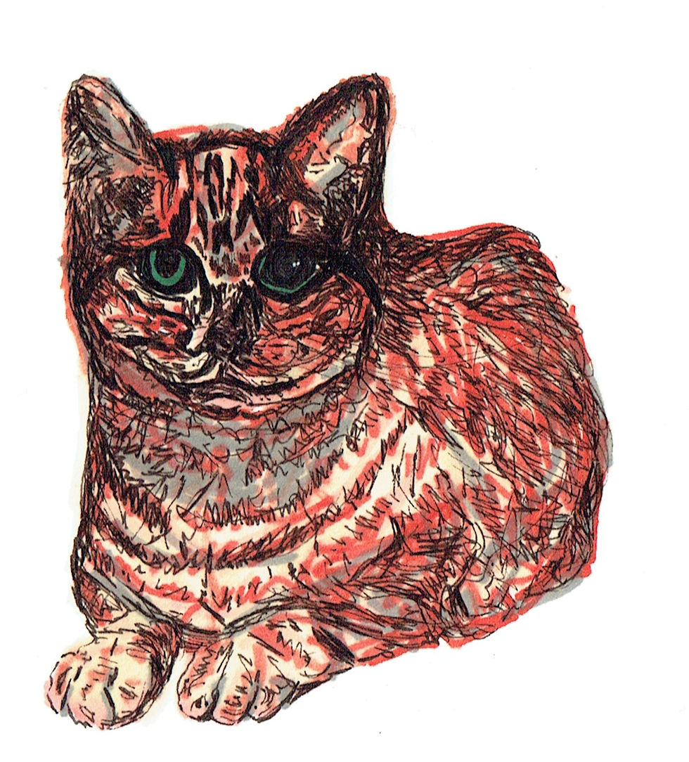 A sketch a day - day 32 red cat