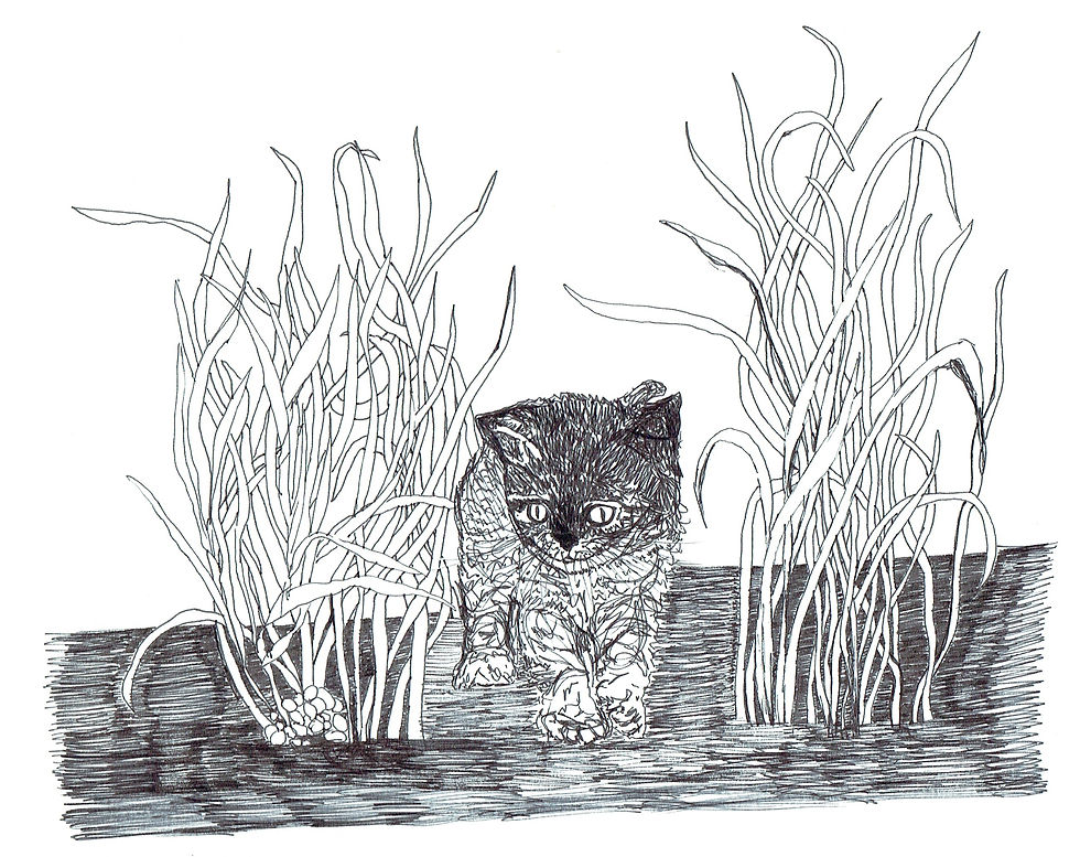 A sketch a day - day 34
