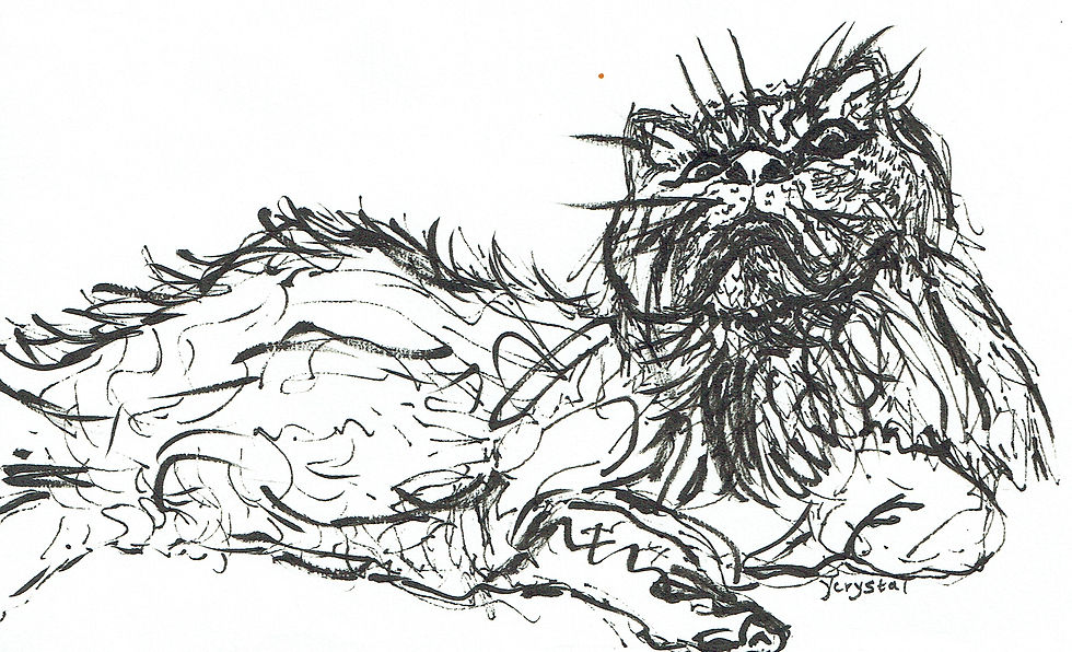 A sketch a day cat ink drawing