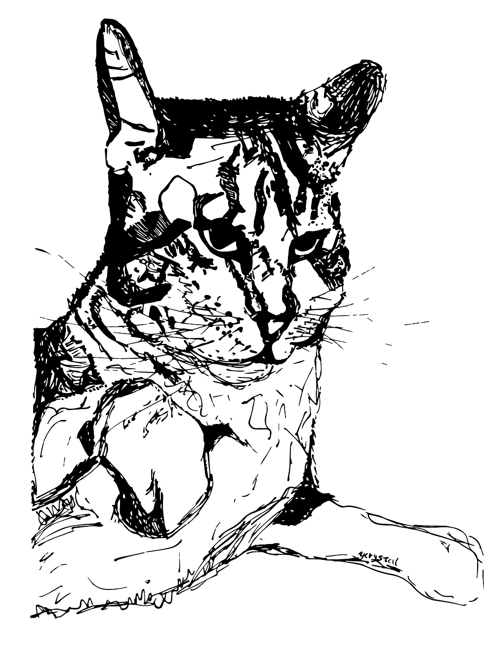 A sketch a day - day 14 Lizzy the cat imagetrace