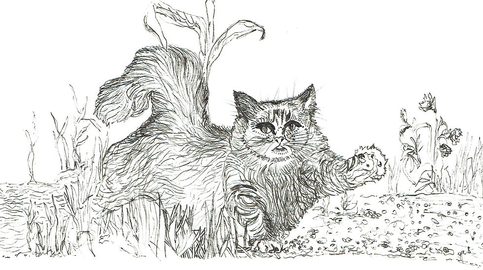 A sketch a day day - 5