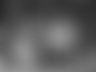 Our VanderVelde Pack