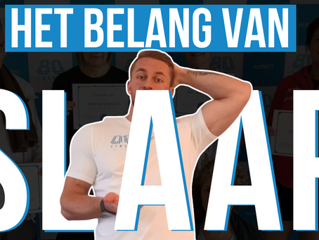 De functies van (N)REM slaap