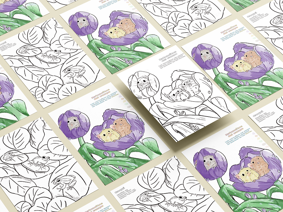 Mockup Sketches.png