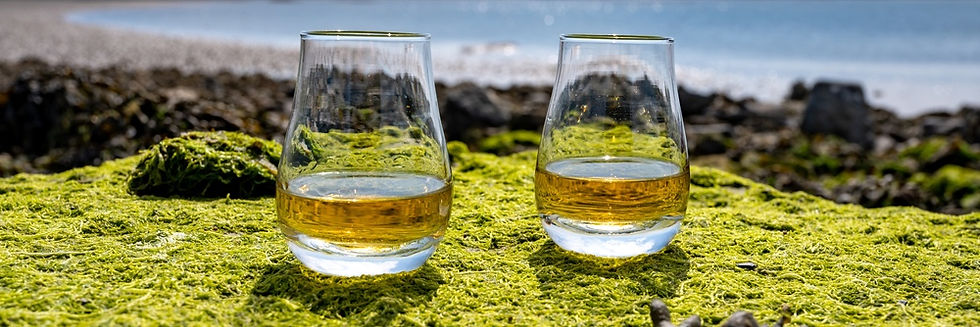 Shutterstock - Tasmania - Whisky tasting glasses moss sea - 1991562995 - small - panoramic
