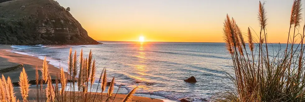 New Zealand panorama.webp