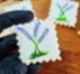 no-photo-or-blank-image-icon-loading-images-or-missing-image-mark-image-not-available-or-i