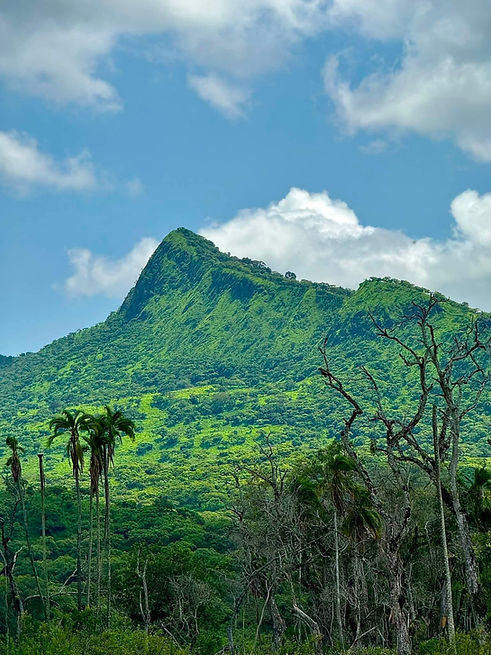 Chebera Churcura National Park.jpg
