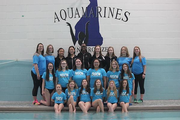 Aquamarines team