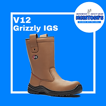V12 Grizzly (1).png