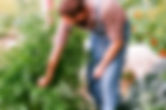 Taller de jardineria