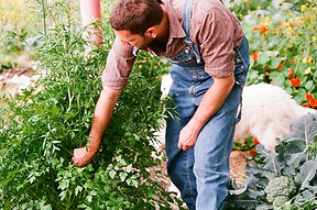 Working in the Garden