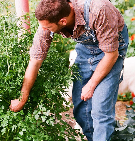 Working in the Garden
