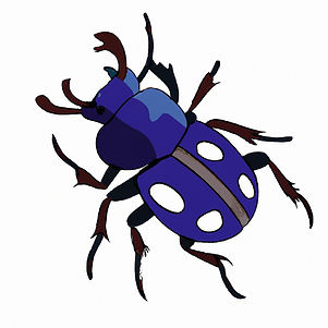 Beetles
