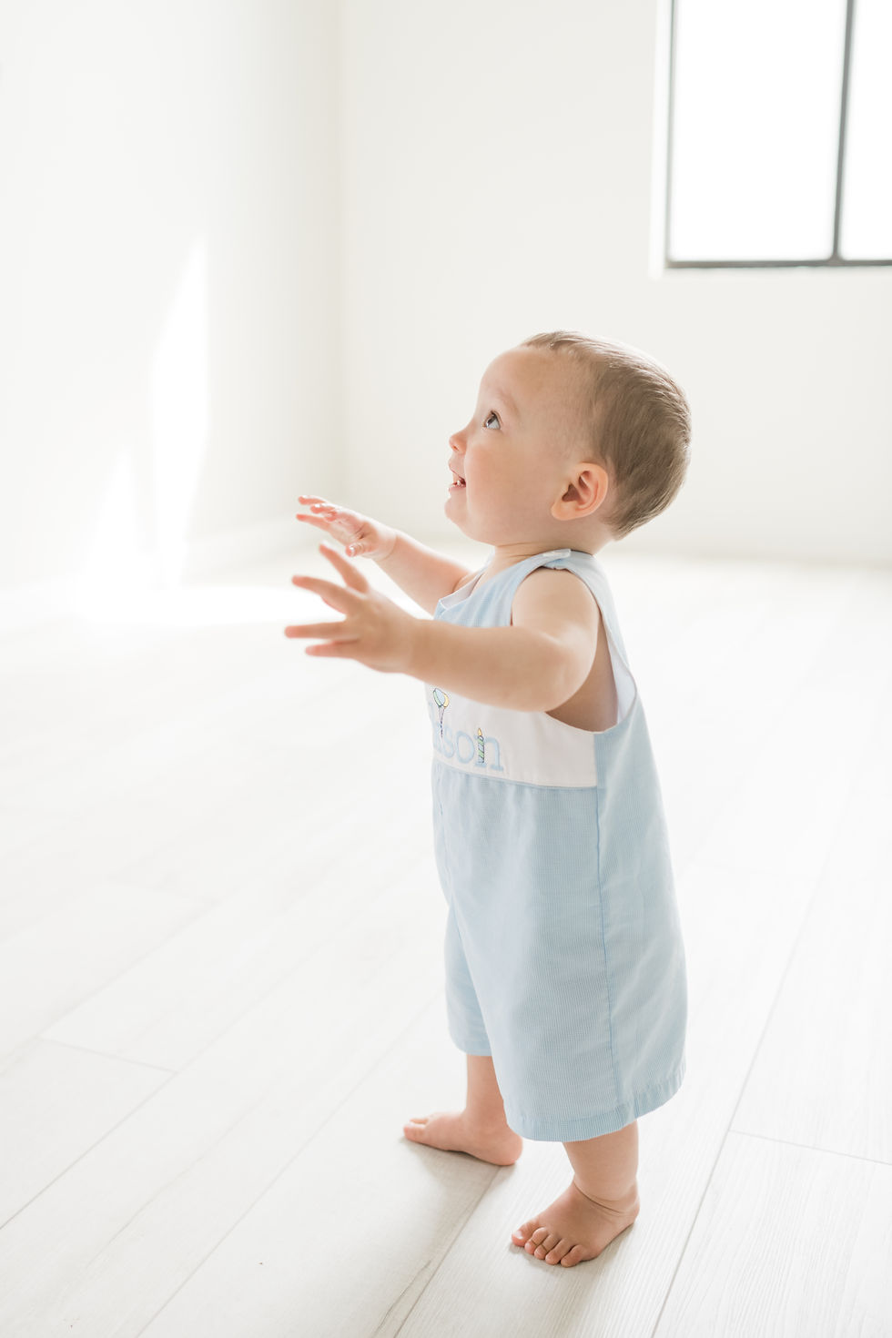 1st birthday photographer nashville tn