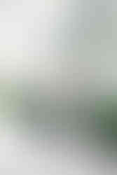 downtown nashville engagement photos