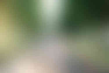 Classic Kentucky engagement session with iconic Keeneland scenery