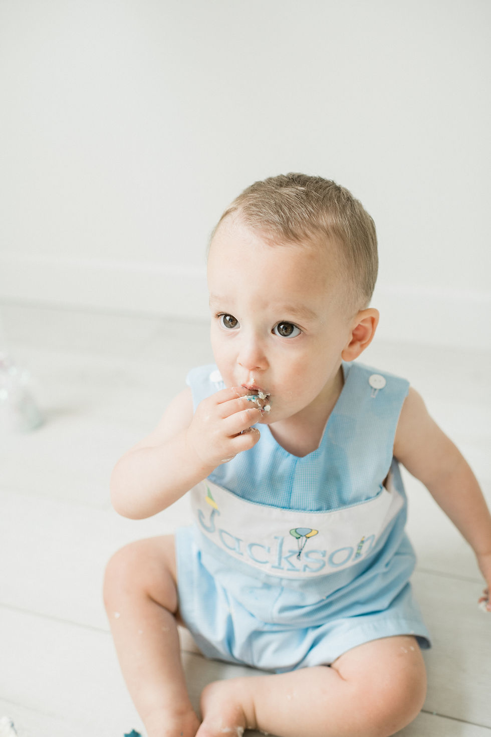 1st birthday photographer nashville tn