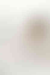 classic nashville newborn photographer