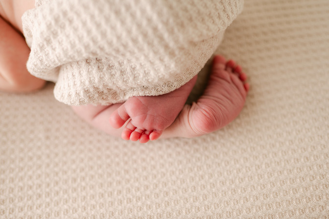 newborn photographer nashville