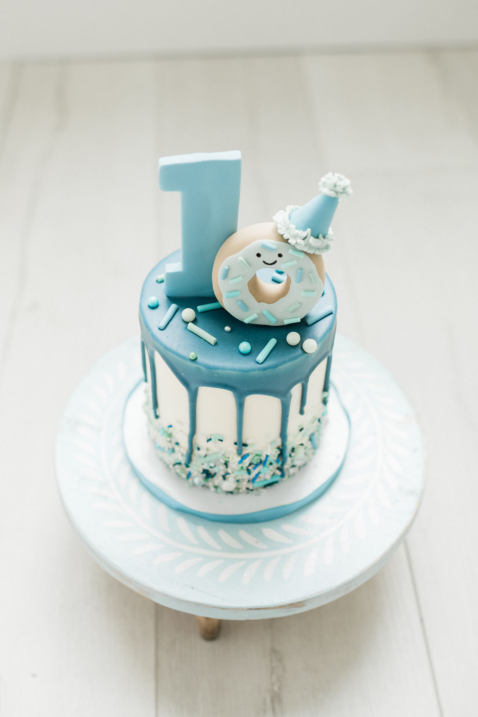 1st birthday photographer nashville tn
