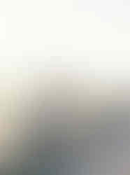 Summer portraits at Keeneland during a classic Kentucky engagement session