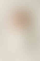 In home newborn photos nashville