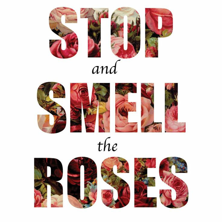 Stop and Smell the Roses