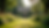 Eye-level view of a beautiful wedding venue surrounded by lush greenery