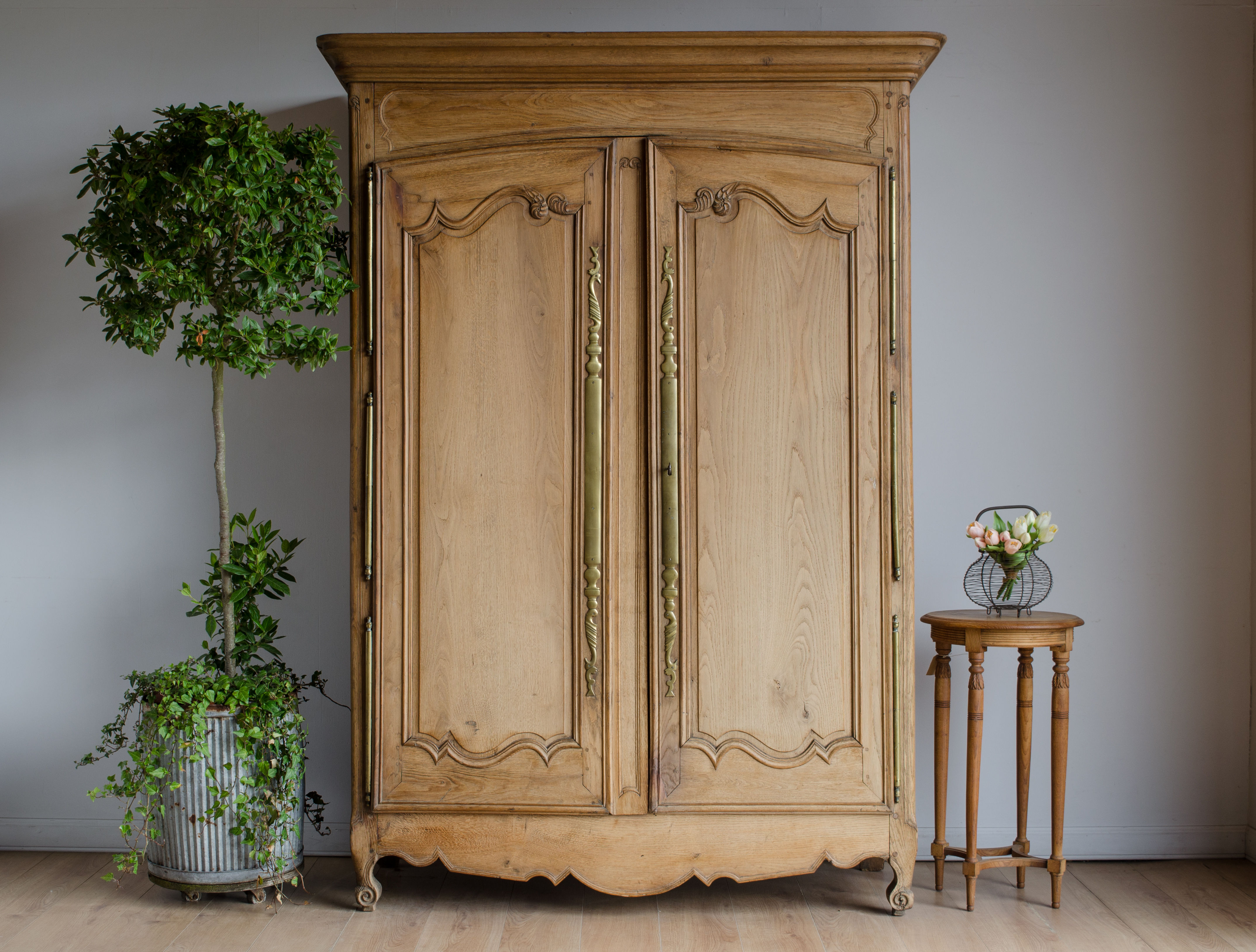 Antique French Oak Armoire with Hanging Rail (#1998)