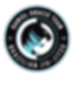 Daniel Gracie Holland logo