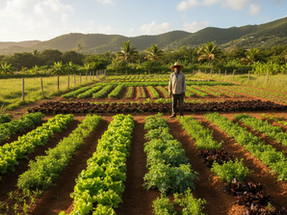 St Croix Agritourism Today: How Farms, Visitors and Community Are Thriving