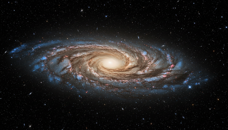 Wide-angle view of a spiral galaxy glowing in blue and gold against a dark star field