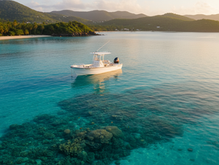 U.S. Virgin Islands Fishing Guide: Snapper, Grouper, Tarpon Spots, Seasons and Rules