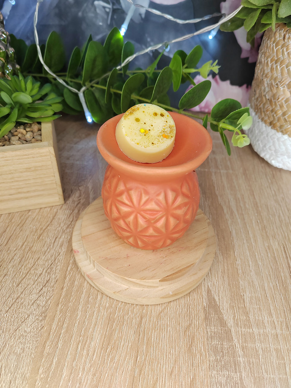 brûleur terre cuite