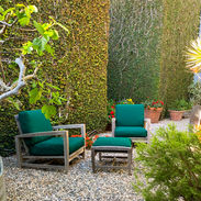 Lunch in the Garden.jpg