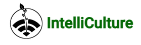 IntelliCulture.PNG