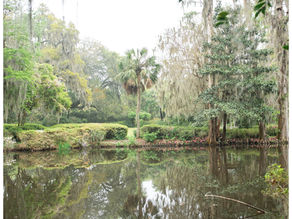 Charleston Engagement 