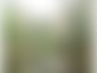 Charleston Engagement 