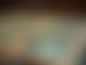 Sports Cards vs Pokémon Cards: Which Should New Collectors Choose?