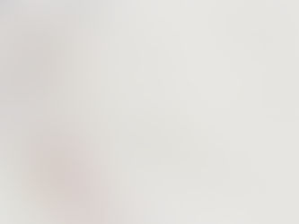 SEM 2 PROJECT 2 : 'Back to the Original' (Food and Space Kiosk)