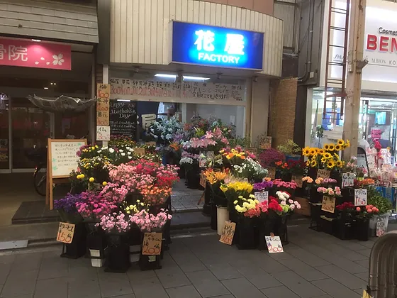 店舗紹介 花屋 店舗紹介 花屋
