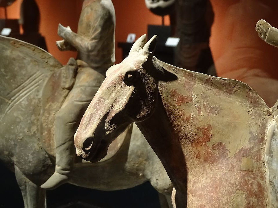Horse