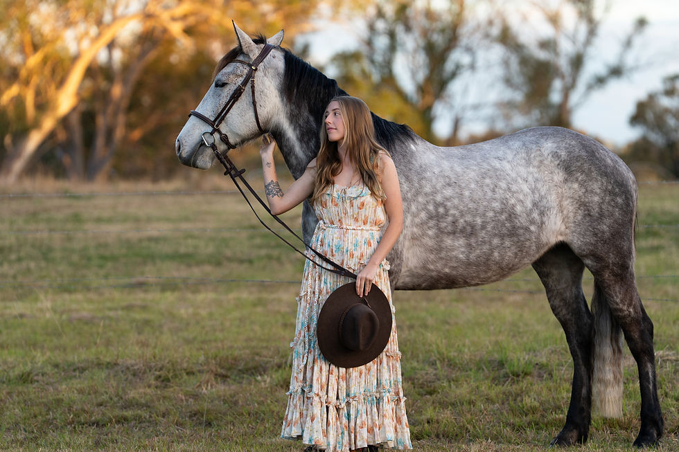 horse photographer Gold Coast