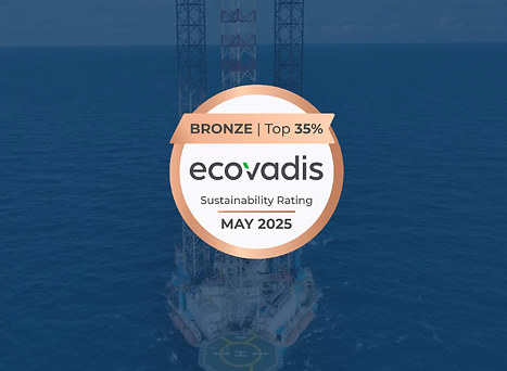 ecovadis rating