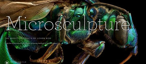 microsculpture-580x326.jpg