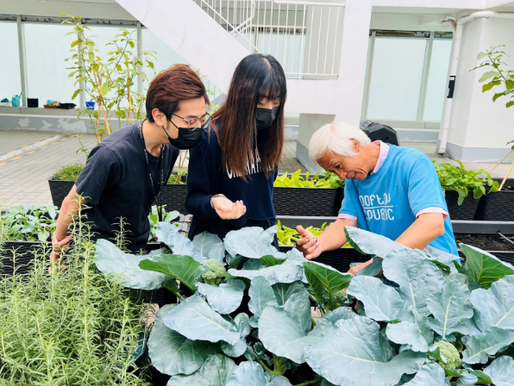 ROOFTOP REPUBLIC CREATING A GREEN SKY CITY AND NURTURING AN HIGH-END FARMING LIFESTYLE TO URBANITES