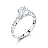 4 Claw Round Raised Mount Micro Set Shoulders Ring
