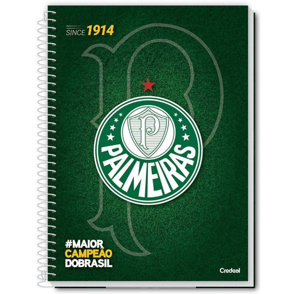Caderno Univ. Cd 1X1 80Fls Palmeiras - Credeal