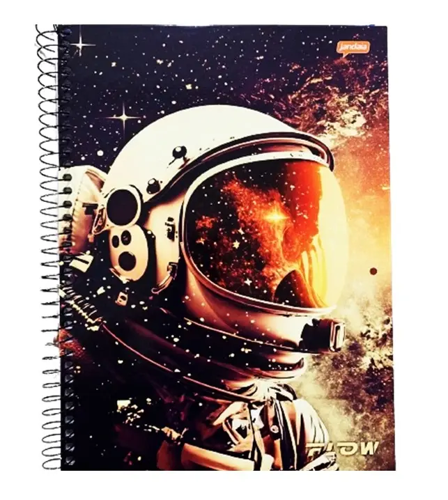 Caderno Universitário 1 Matéria 80 Fls - Flow